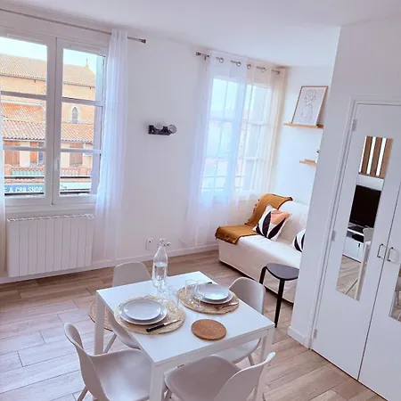 Appartement Le Nid De , T1 Coup De Cœur Avec Parking Plaisance-du-Touch